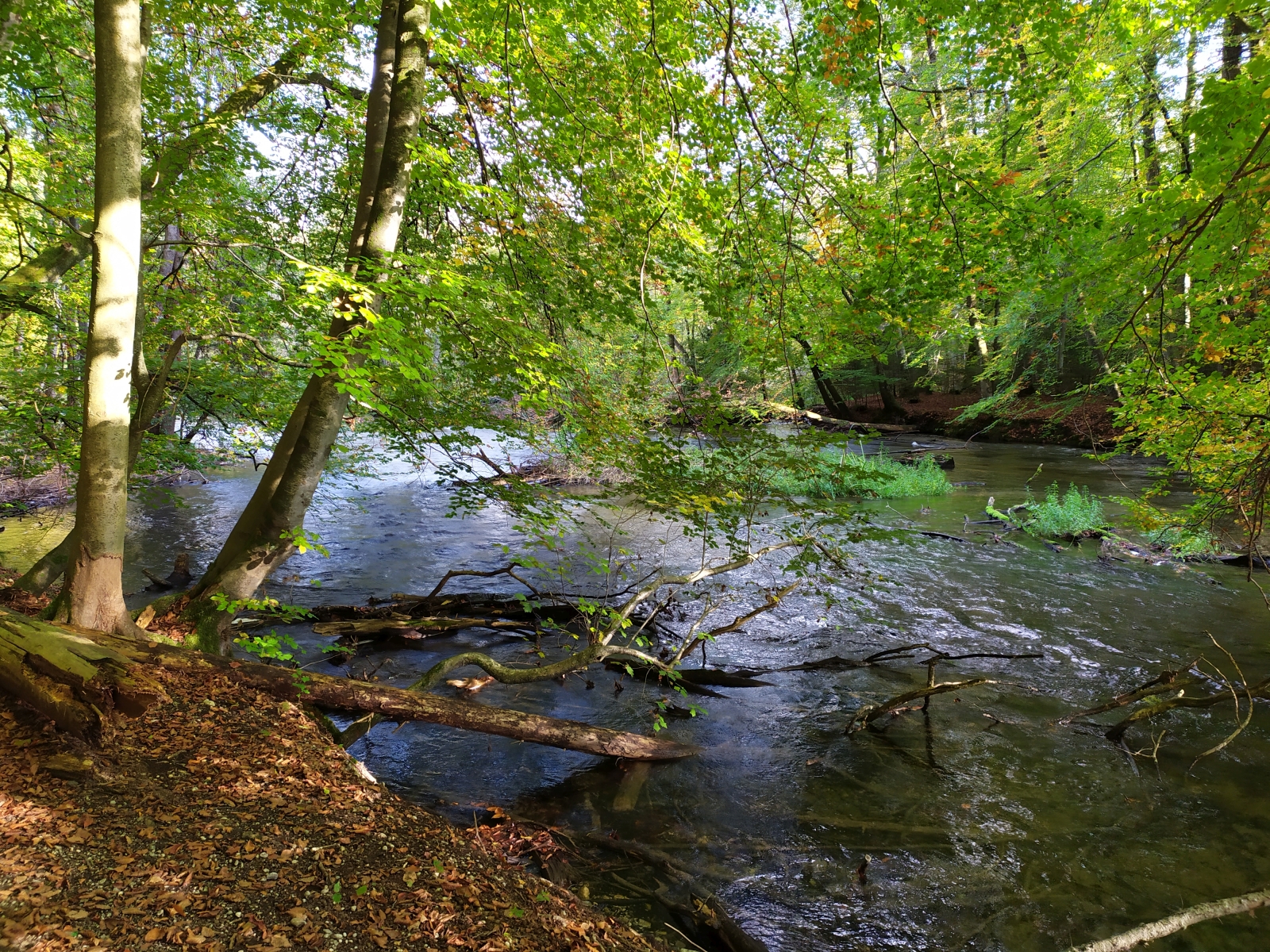 Auenprogramm Hochwasserschutz