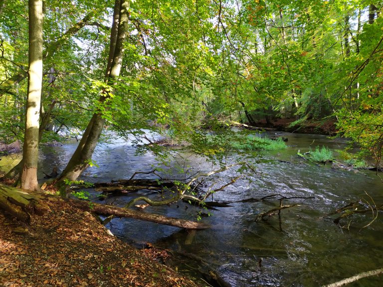 Schriftliche Anfrage: Naturschutzgebiete in Unterfranken