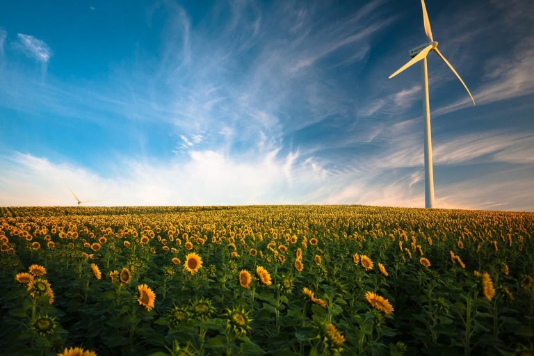 Windenergie in Bayern: „Es muss mehr passieren“