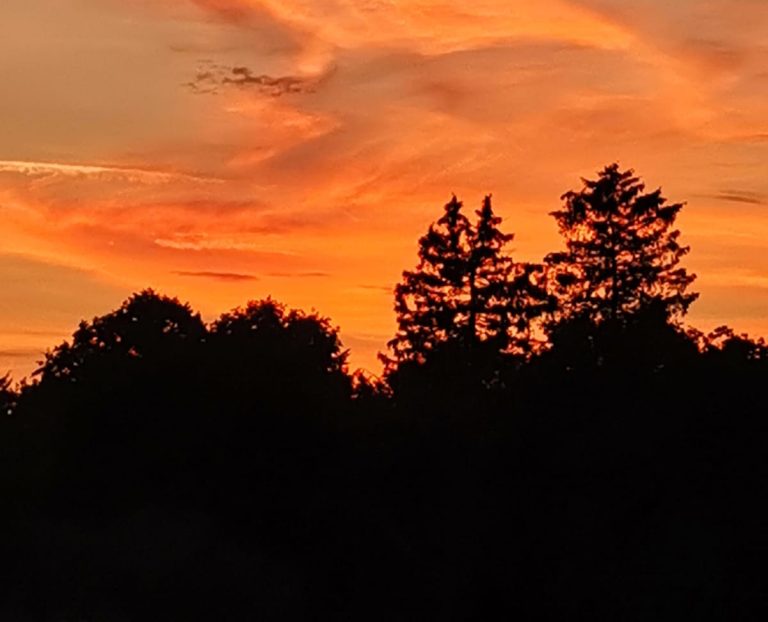 Dringlichkeitsantrag: Bayern ächzt unter der Hitze – Kommunen endlich unterstützen!