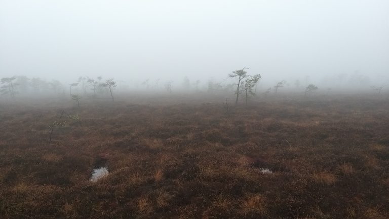 Chinesische Biogas-Zertifikate für die Bayerische Staatsregierung