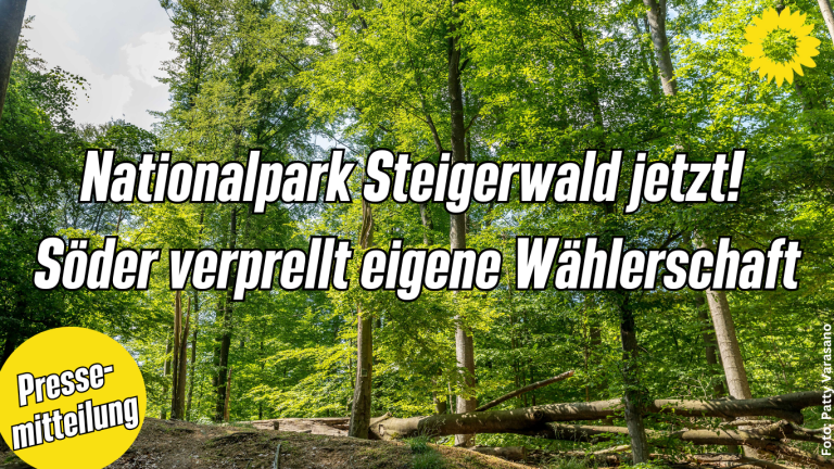 Friedl und Knoblach: Nationalpark Steigerwald jetzt! – Söder verprellt eigene Wählerschaft
