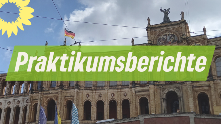 Praktikant*innen