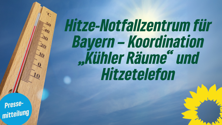 Patrick Friedl will Hitze-Notfallzentrum