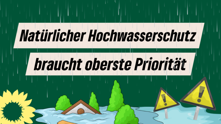 Natürlicher Hochwasserschutz braucht oberste Priorität